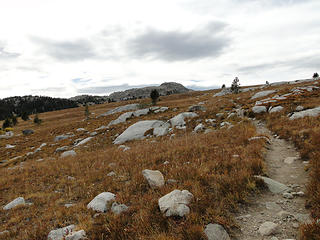 90-Trail to Summit
