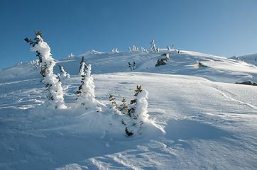 DSD_7911 - tempting to just sit down and soak in the snowscape