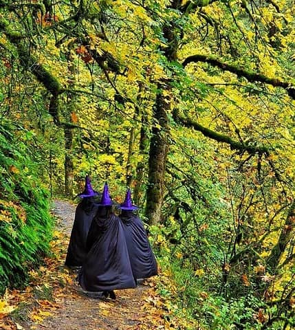 Witch Trail to take today? :o