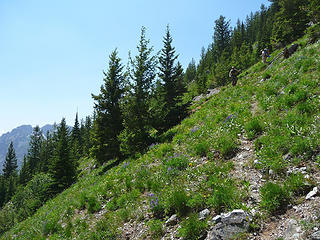 Descending steep meadows to the Beauty Creek trail