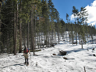 Logging Landing