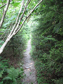 Abandoned trail.