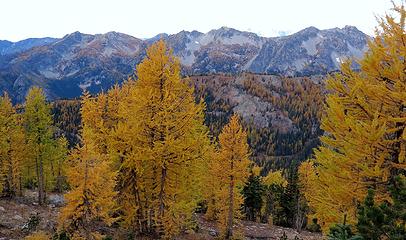 High overcast shadowing the ridges of larches