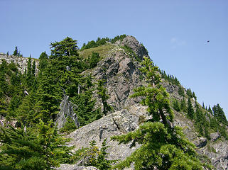 Looking up toward Tinkham