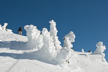 DSD_7954 - Heavy winter coating