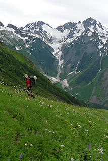 Sergio frolicking in fields of wildflowers.