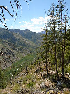 looking down to Chewuch River other side of Andrews Ridge