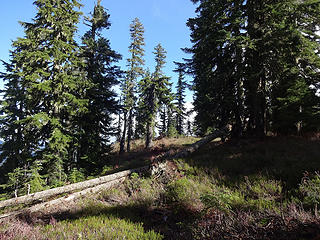 The trail follows benches when near Captain Point.