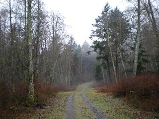 north end of Turtleback Mtn on Orcas Island in San Juans on a cloudy, drippy day