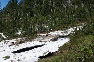 Avalanche swath from the lower Dutch Miller Gap meadow to the Williams Lake trail junction. Mostly melted out up higher, but lots of damage to trees along the ravine.