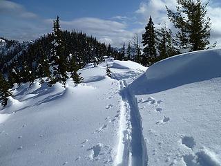 sunny skin track