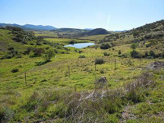 Another pond