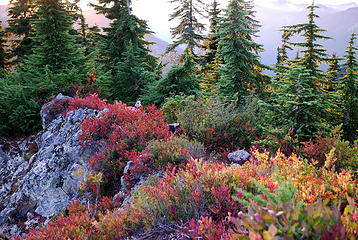 Kiefer and the fall colors