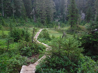 Trail boardwalk