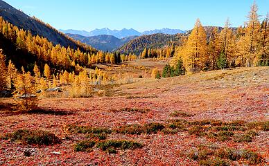Beautiful reds and golds in the center of Horseshoe Basin