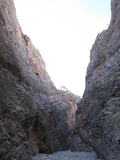 Arrow Canyon Wilderness, NV