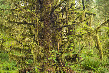 Sam's River Loop Trail