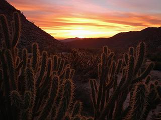 South Indian Canyon sunrise