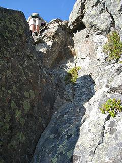 llama negotiating the crux