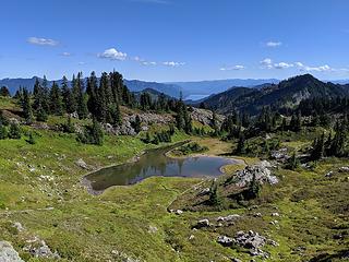 Swimming tarn