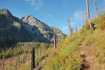 Peaks, stumps and trail