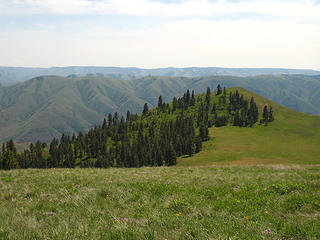 Looking toward Oregon from the summit of Puffer Butte in the Blue Mountains of Southeastern Washington.