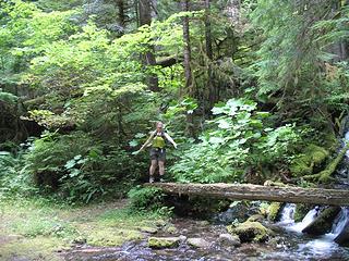 Quark Is Excited To See An Intact Bridge