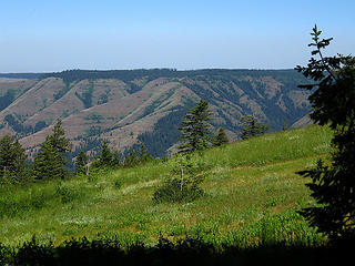 View from Nine Mile Ridge towards North