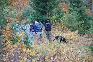 Susie, Detekt, Susan and Cascade talk it over...