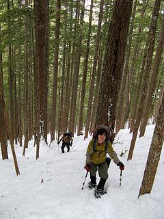 Hiking up through the woods