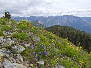 Polallie Ridge