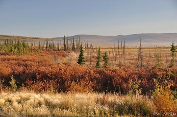 view from Dalton Highway