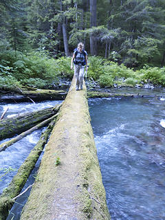 Walking the plank