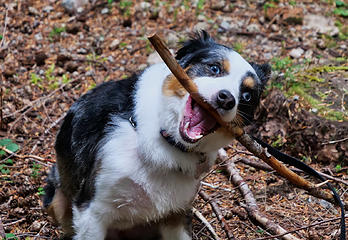 Time for Stick