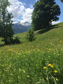 Grindelwald 6/2/18