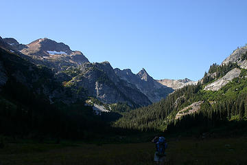 Spider Meadow