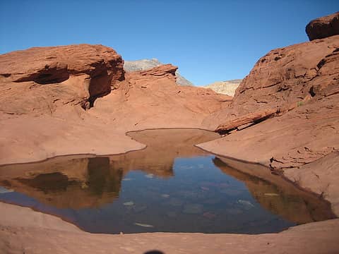 little pond on Red Cap