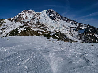 Rainier from Andrew