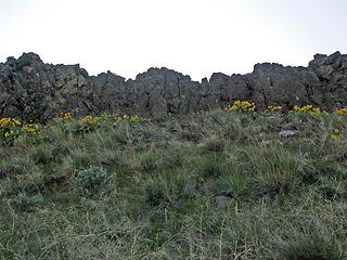 Balsam Root and Basalt above Tarpiscan Rd.