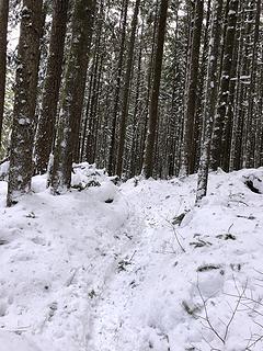 Greg Ball Memorial Trail, Wallace Falls State Park 1/16/20