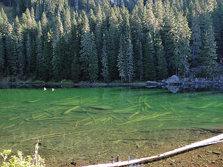 Second Kendal Lake.