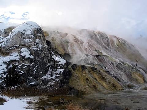 mammoth hot springs