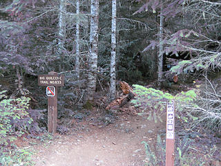 01 - At the Big Quilcene Trailhead