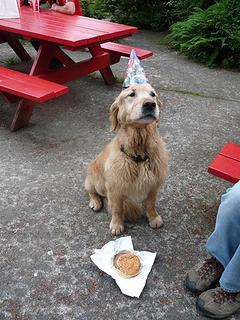 Birthday Burger at Zeke's