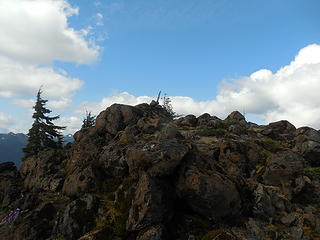 The mossy-rock summit of Chapel Peak