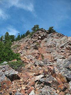 Looking back up the "trail".