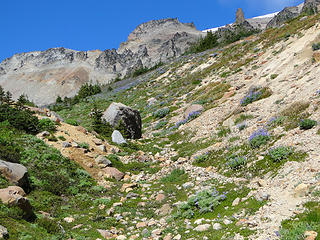 "Trail" through gully above Glacier Basin.