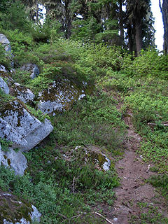 Old "path" found at ~5350' elevation...
