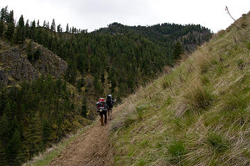 View along the West Fork Rapid River Trail, Seven Devils Mountains, Idaho.