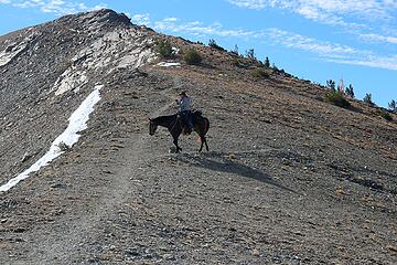 Horse at Oval Pass